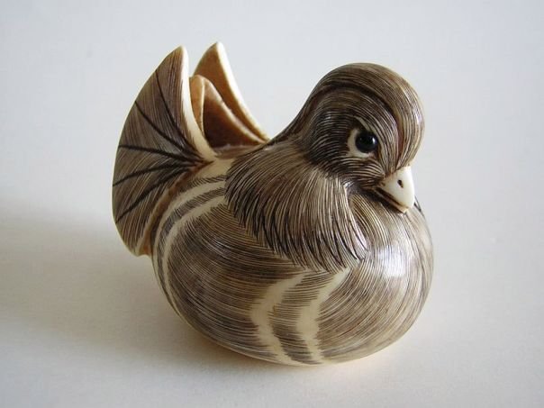 Mandarin duck – (5579)